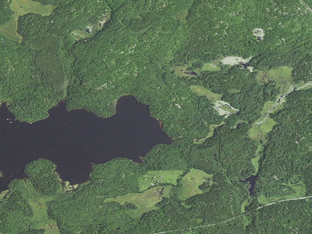 Aerial image of Lake Jeanette Site 10