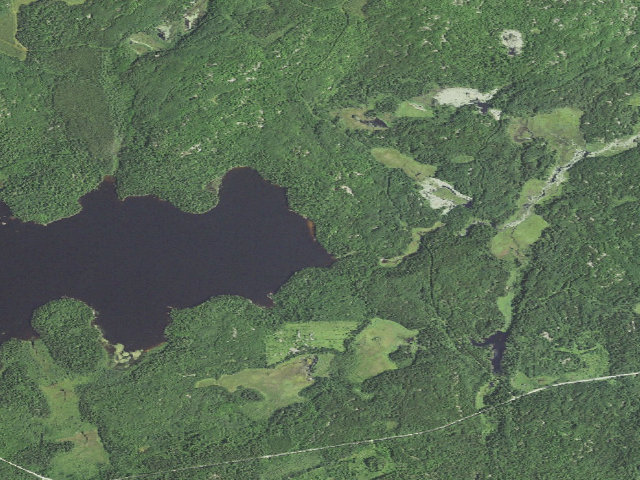 Aerial image of Lake Jeanette Site 11