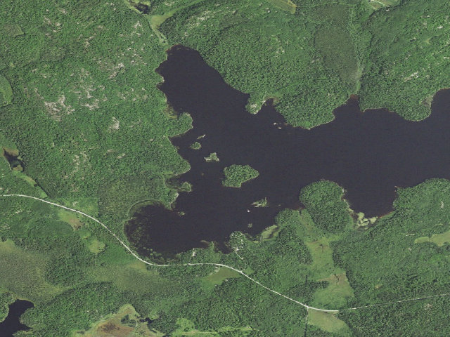 Aerial image of Lake Jeanette Site 2