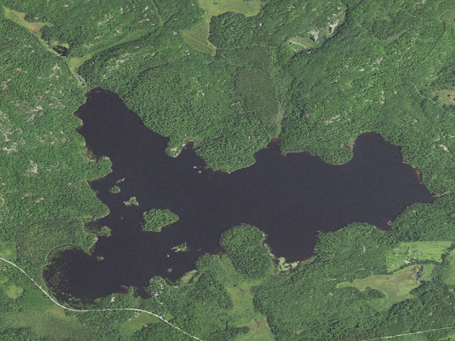 Aerial image of Lake Jeanette Site 8