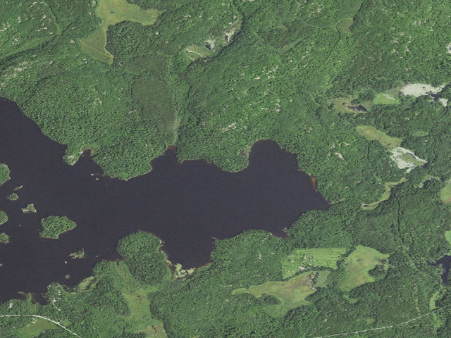 Aerial image of Lake Jeanette Site 9