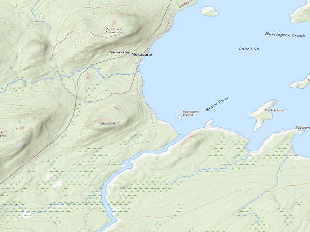 USGS topographic map of Lake Lila # 10 (William C. Whitney Wilderness)