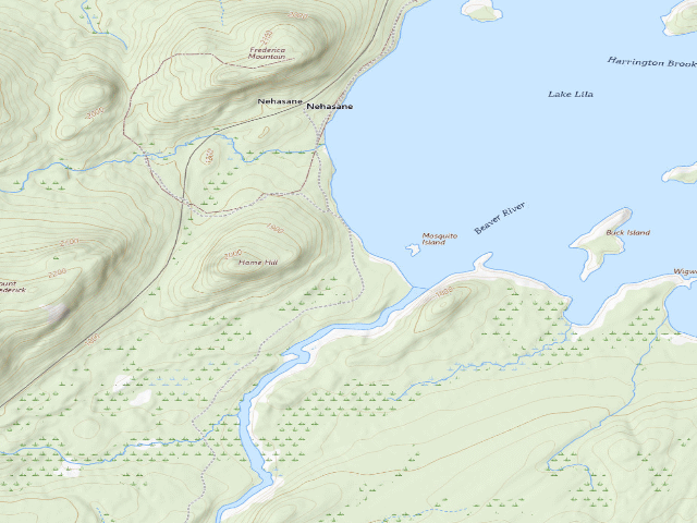 USGS topographic map of Lake Lila # 11 (William C. Whitney Wilderness)