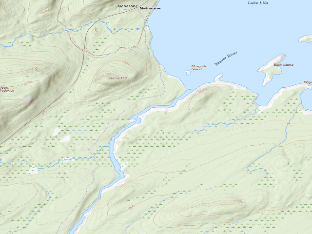 USGS topographic map of Lake Lila # 12 (William C. Whitney Wilderness)