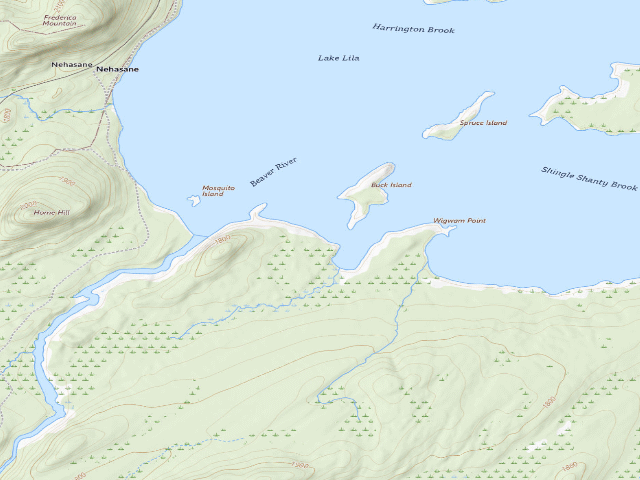 USGS topographic map of Lake Lila # 13 (William C. Whitney Wilderness)