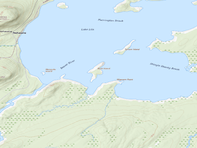 USGS topographic map of Lake Lila # 14 (William C. Whitney Wilderness)