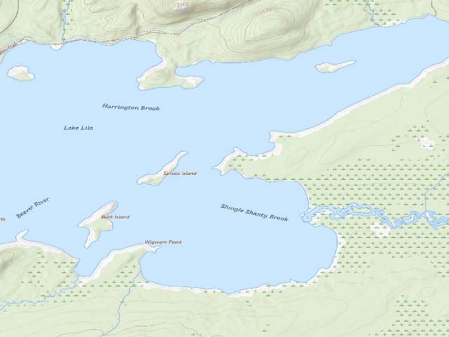 USGS topographic map of Lake Lila # 20 (William C. Whitney Wilderness)