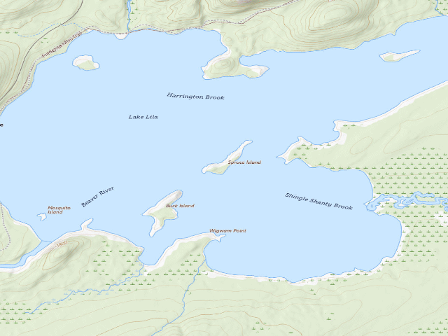 USGS topographic map of Lake Lila # 21 (William C. Whitney Wilderness)