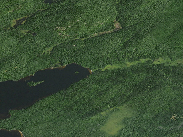 Aerial image of Lake Lila # 24 (William C. Whitney Wilderness)