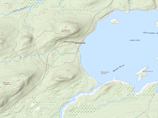 USGS topographic map of Lake Lila # 8 (William C. Whitney Wilderness)