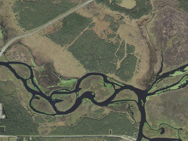 Aerial image of Lake Monroe Conservation Area primitive campsite
