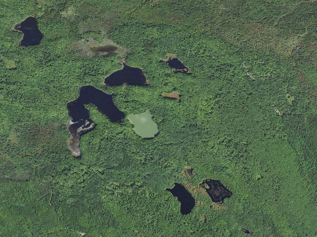 Aerial image of Lake Nineteen Camping Area