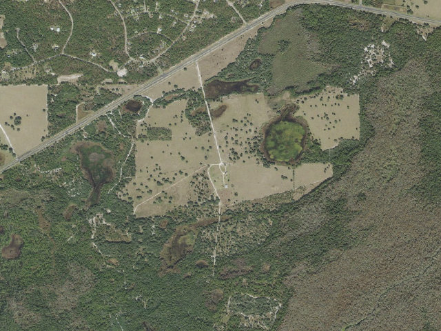 Aerial image of Lake Panasoffkee Equestrian-12 (Lake Panasoffkee)
