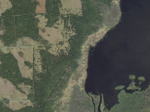 Aerial image of Lake Poinsett Camp (River Lakes Conservation Area)