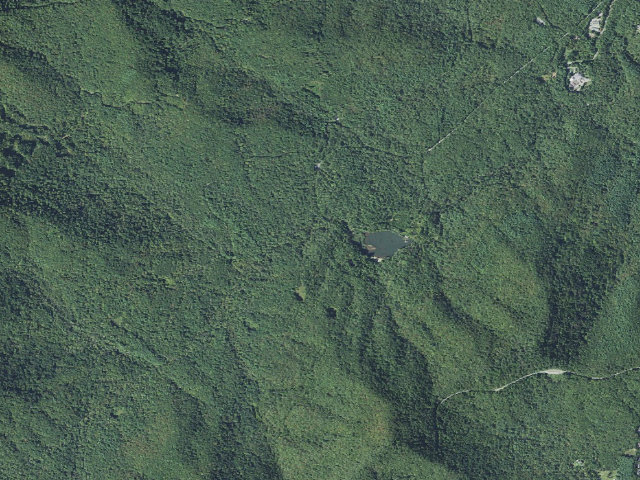 Aerial image of Lake Powhatan Campground