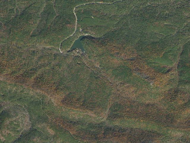 Aerial image of Lake Sylvia