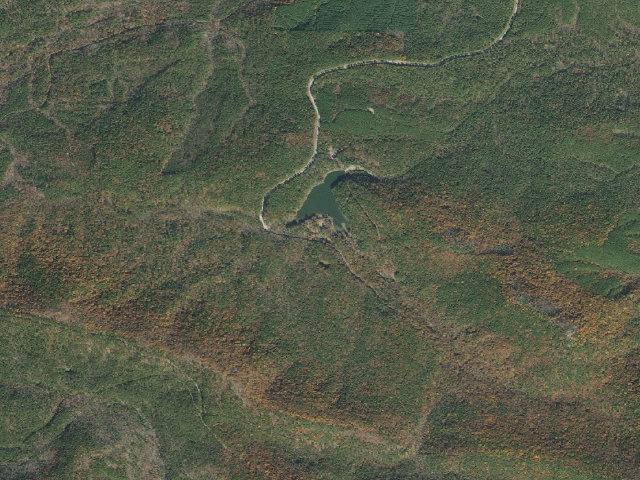 Aerial image of Lake Sylvia