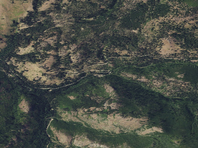 Aerial image of Lambert Creek