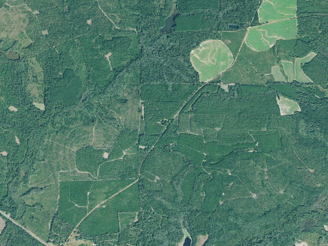Aerial image of Lanahassee WMA Primitive Campground #1
