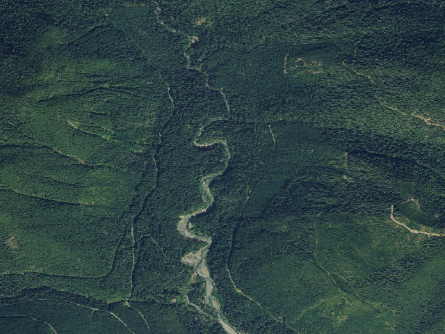 Aerial image of Laney Camp
