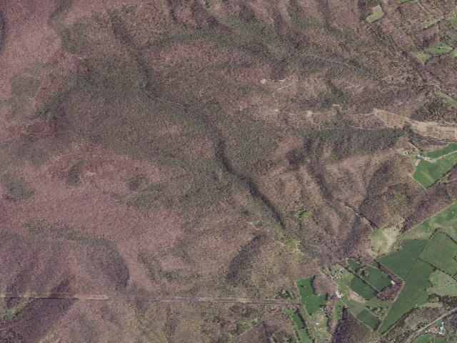 Aerial image of Laurel Creek A.T. Shelter