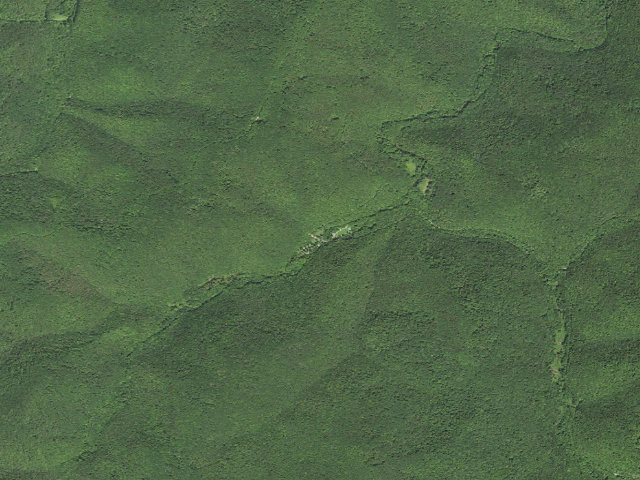 Aerial image of Laurel Fork Campground