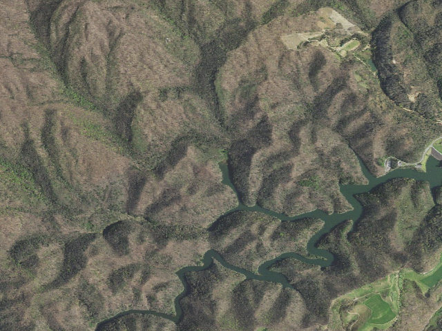 Aerial image of Laurel Fork Primitive Camp