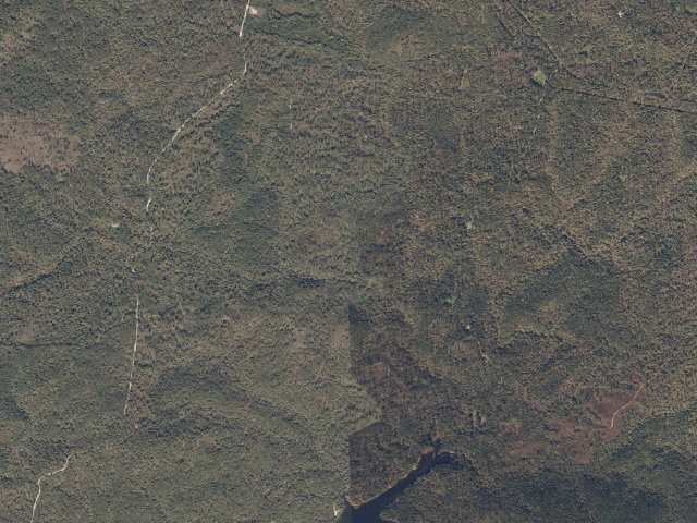 Aerial image of Laurel Trail Shelter Site