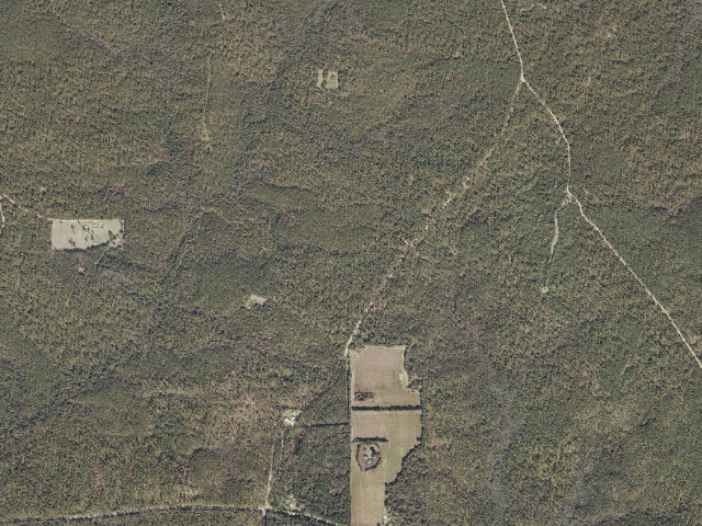 Aerial image of Leaf River WMA camp site 1
