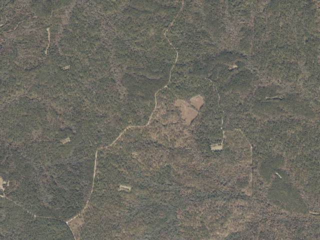 Aerial image of Leaf River WMA camp site 11