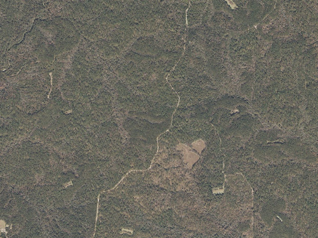 Aerial image of Leaf River WMA camp site 12