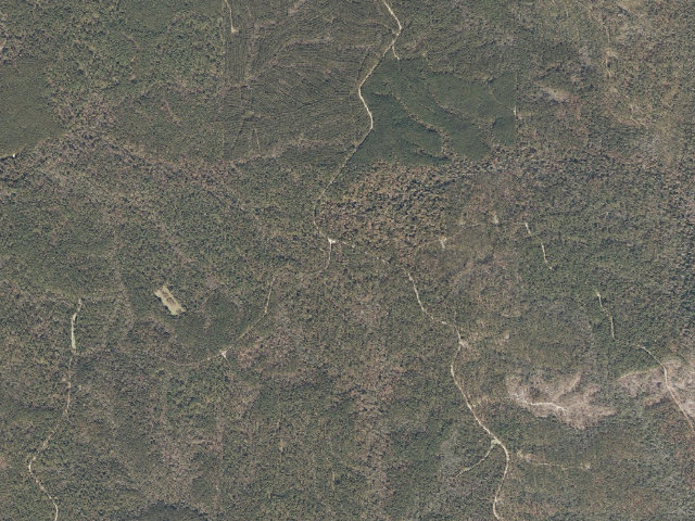 Aerial image of Leaf River WMA camp site 13