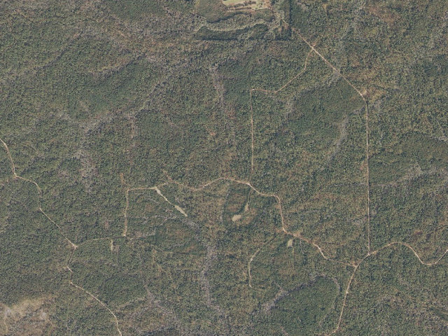 Aerial image of Leaf River WMA camp site 14