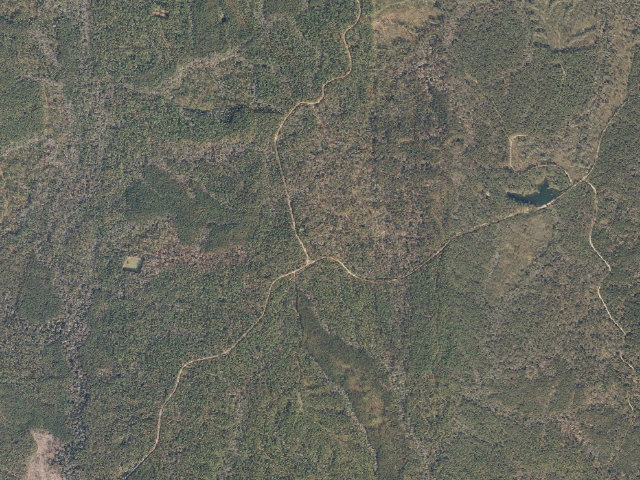Aerial image of Leaf River WMA camp site 15