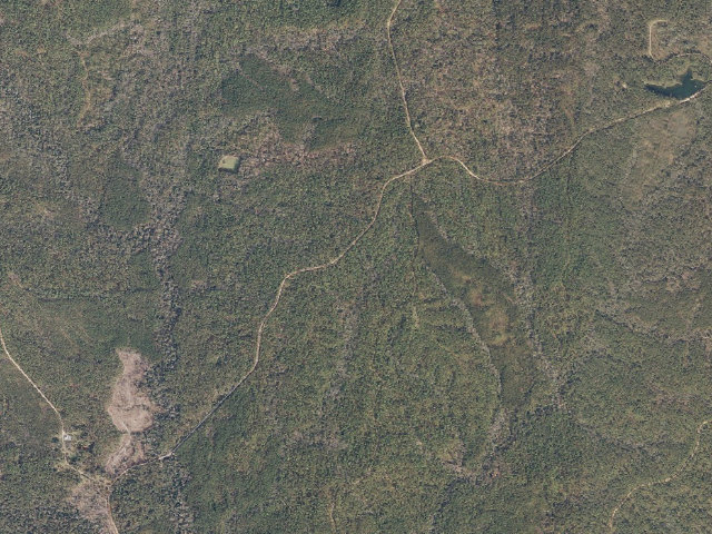 Aerial image of Leaf River WMA camp site 16