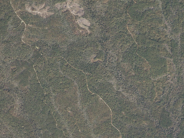 Aerial image of Leaf River WMA camp site 17