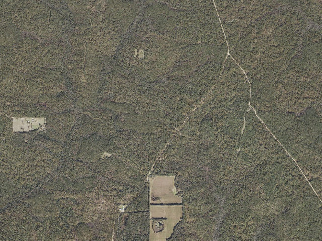 Aerial image of Leaf River WMA camp site 2