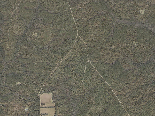 Aerial image of Leaf River WMA camp site 3