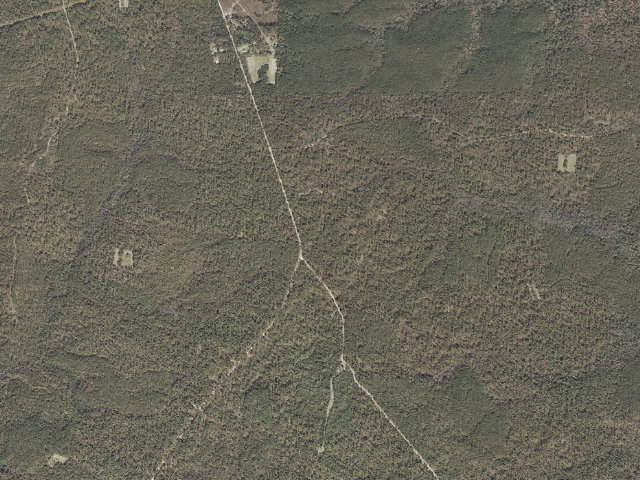 Aerial image of Leaf River WMA camp site 4