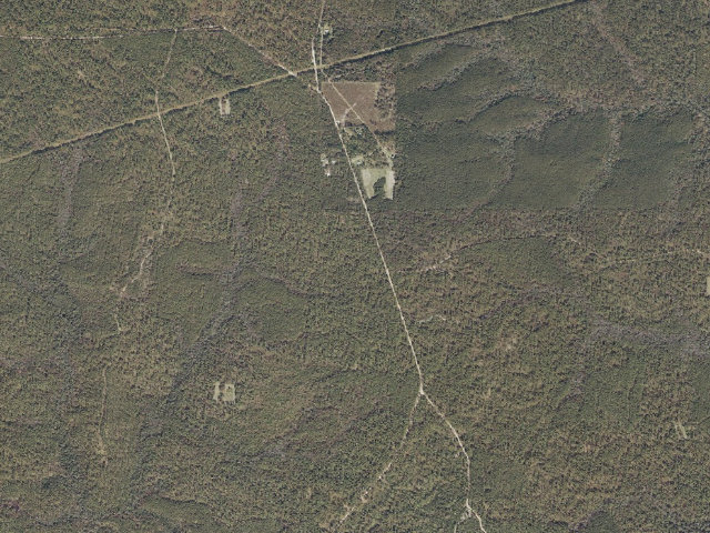 Aerial image of Leaf River WMA camp site 5