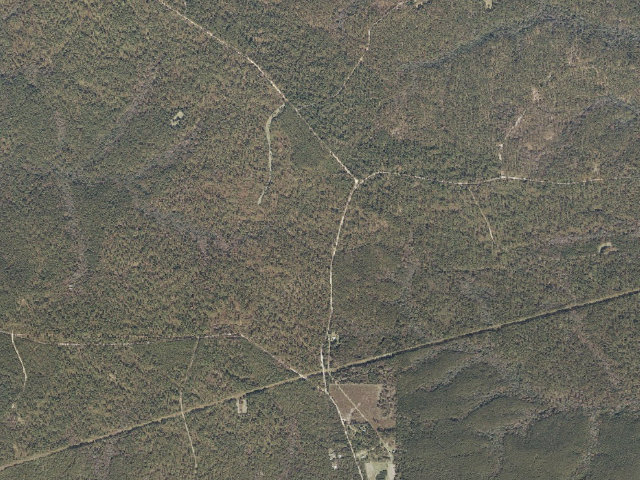 Aerial image of Leaf River WMA camp site 6