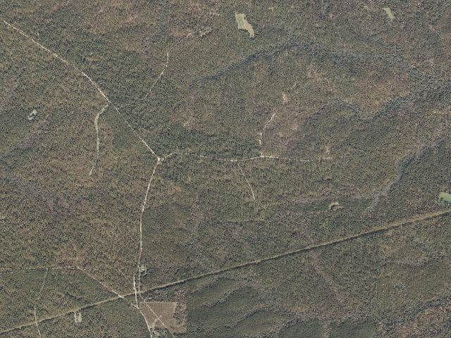 Aerial image of Leaf River WMA camp site 7