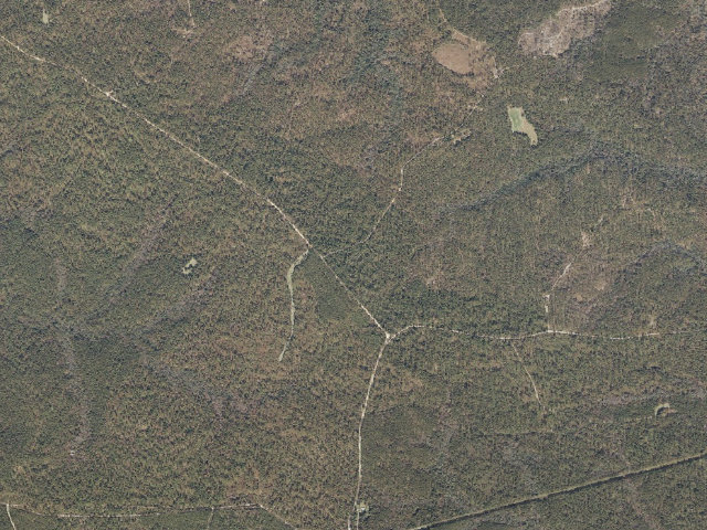 Aerial image of Leaf River WMA camp site 8