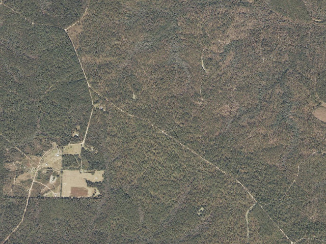 Aerial image of Leaf River WMA camp site 9