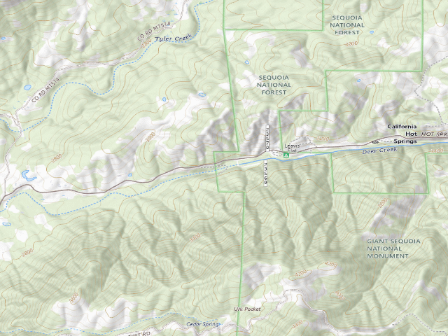 USGS topographic map of Leavis Flat