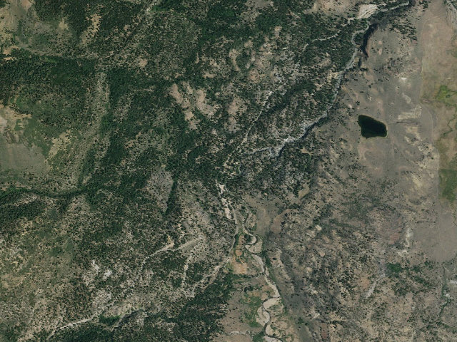 Aerial image of Leavitt Meadows Campground