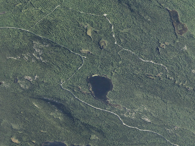 Aerial image of Leavitt Pond (Nahmakanta Public Land)
