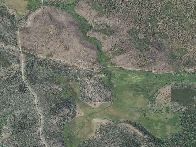 Aerial image of Lee Thomas Campground