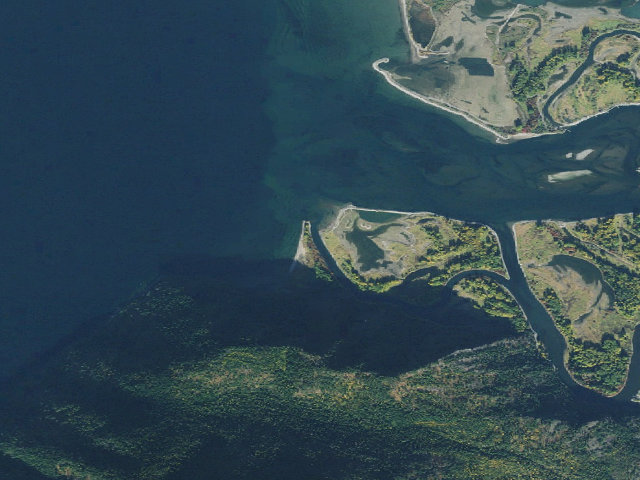 Aerial image of Lees Point