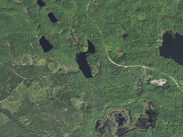 Aerial image of Leg Lake Camping Area